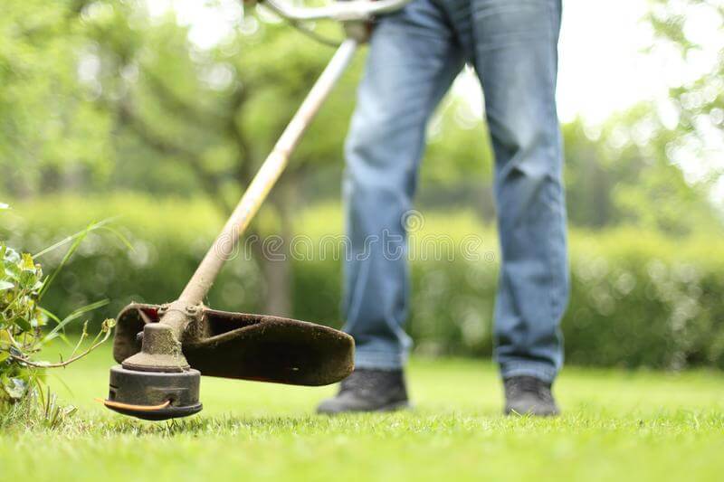 Agrotech Brush Cutter ( BG 328 – 32cc )