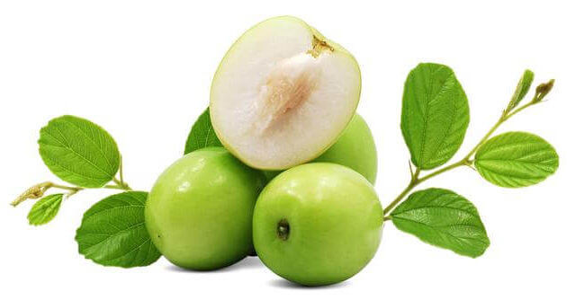 බද්ද මසං Indian Jujube (Masan)