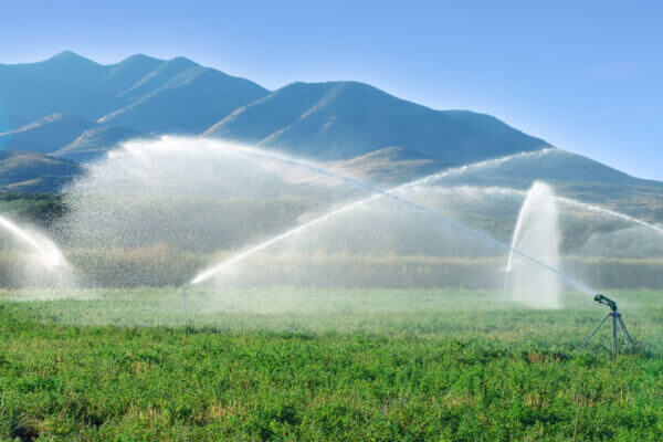 Rain Gun Irrigation Cannon - Image 2