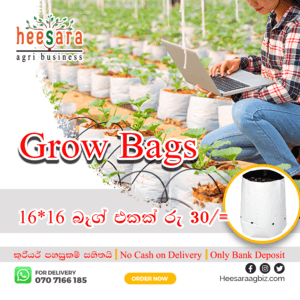 UV Treated Grow Bags