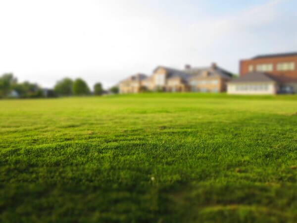 Grass Carpet Roll - Image 3