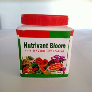 Nutrivant Bloom -100g