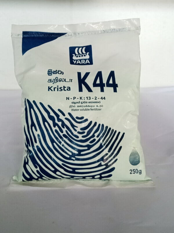 Krista K44 -250g - Image 2