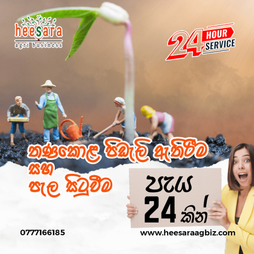 Landscaping From Heesara