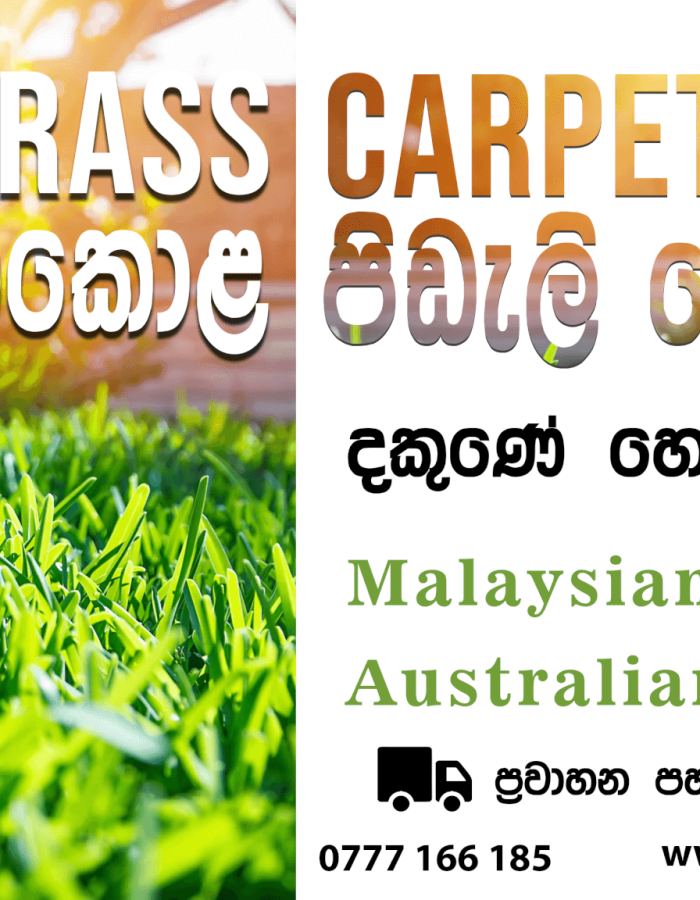 Grass Carpet Roll